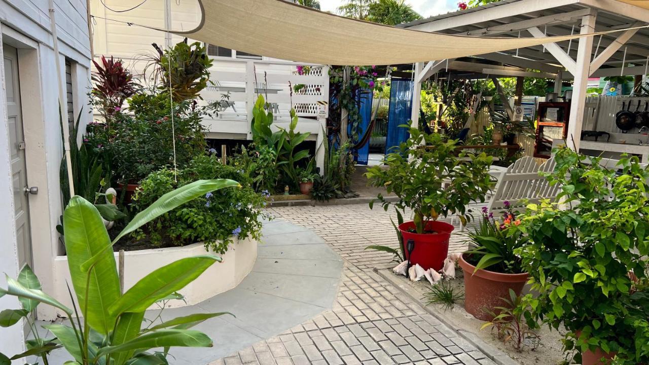 Blue Wave Guest House Caye Caulker Exterior photo